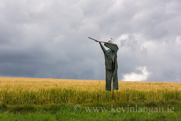 Scarecrow, Ballinspittle, County Cork