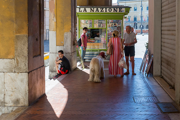 Newspaper Stand, Pisa, italy