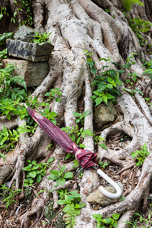 Umbrella, Vintage town of Jiufen, Taiwan