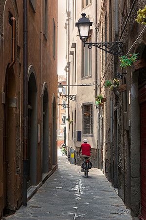 Cyclist in Red Top, Pisa, Italy