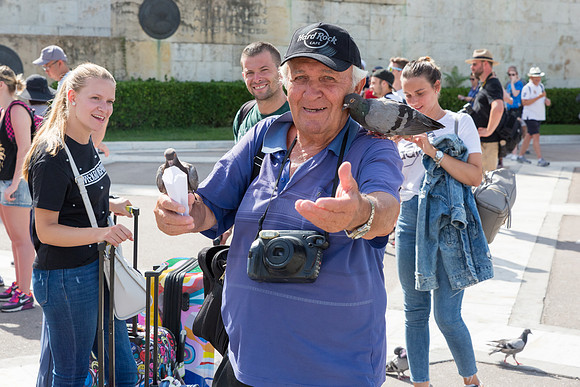 Pigeon Man, Syntagma Square, Athens