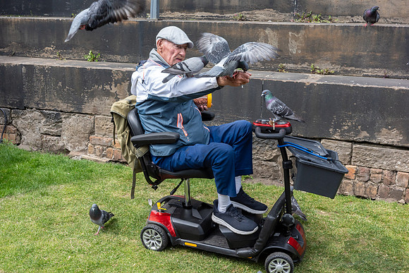 Feeding the Pigeons, Edinburgh