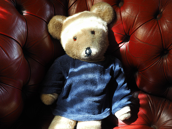 Teddy Bear on Red Leather Couch