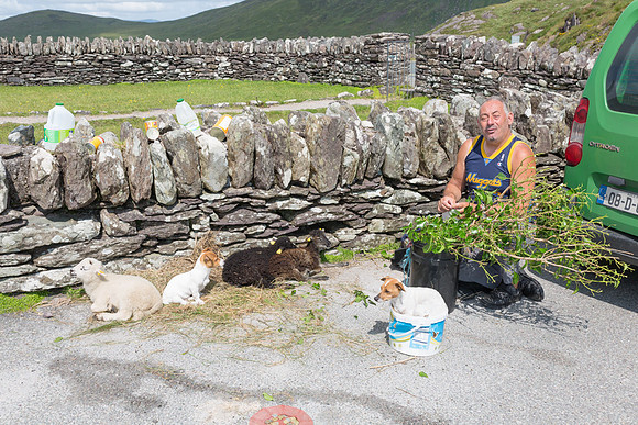 Lotto Winner,, Caherdaniel, County Kerry