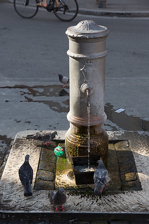 Water Fountain, Rome, Italy