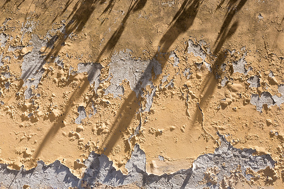 Peeling Paint, Pisa, Italy