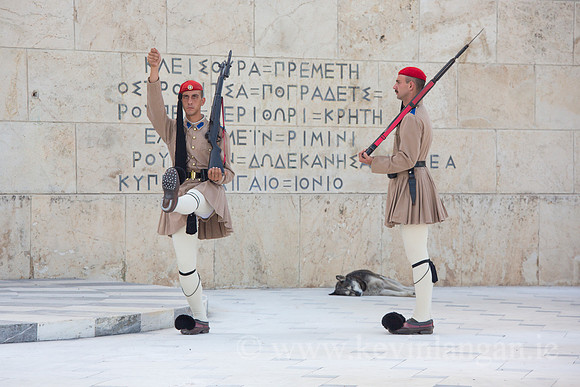 Sleeping Dog, Changing of the Guard, Syntagma Square, Athens