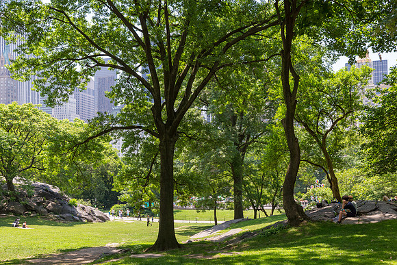 In the Shade, Central Park, New York City