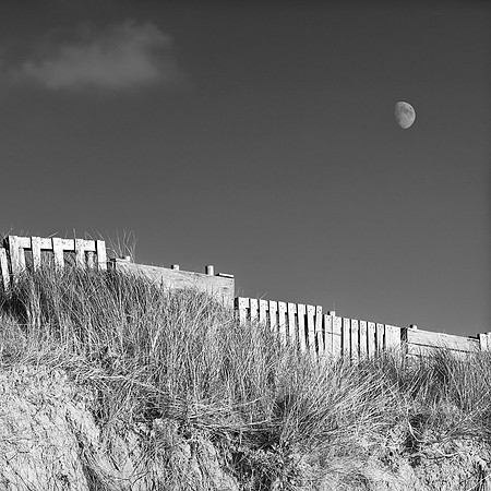 Coast, Ballybunion, Co. Kerry