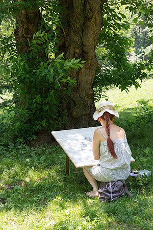 Artist doing a Tree Study, Central Park, New York