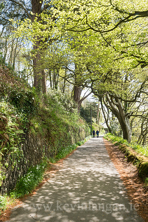 Scilly Walk, Kinsale, County Cork