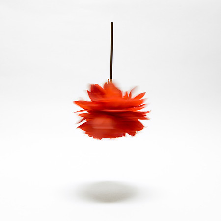 Red Flower