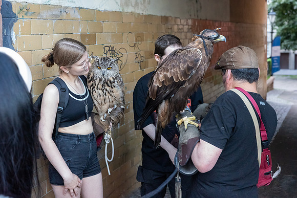 Birds of Pray, Edinburgh